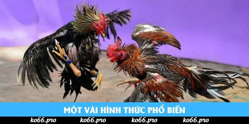 Một vài hình thức phổ biến