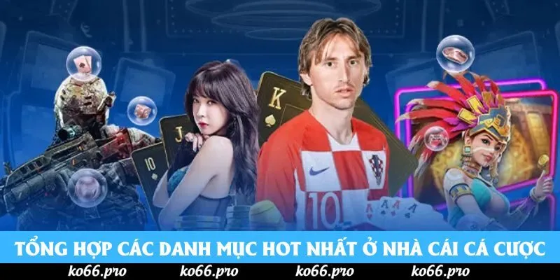 Tổng hợp các danh mục hot nhất ở nhà cái cá cược