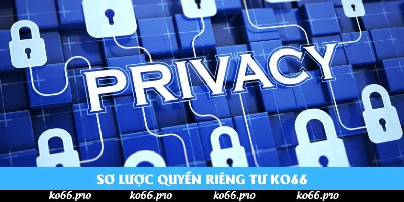 Sơ lược quyền riêng tư ko66 Sơ lược quyền riêng tư ko66